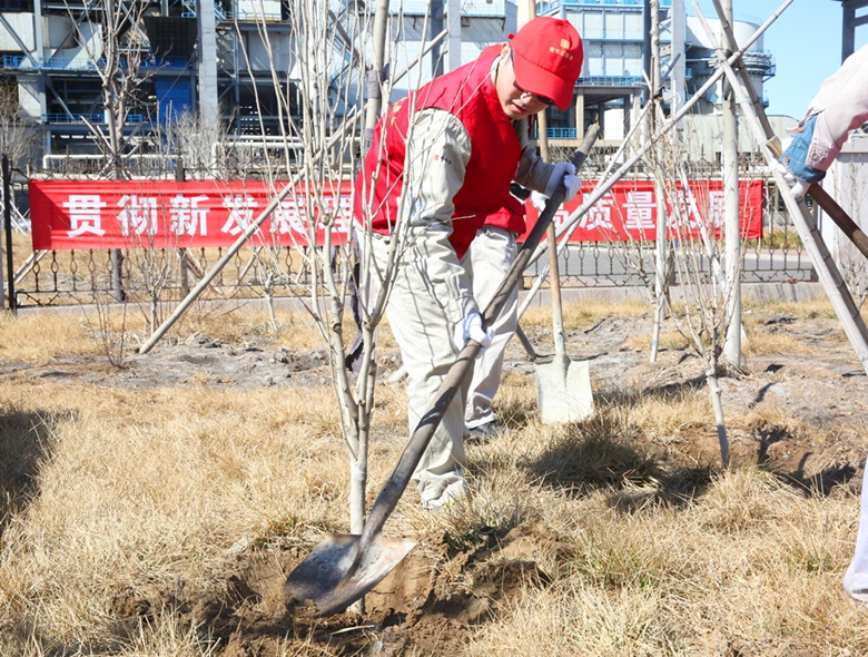 植树活动2_副本.jpg